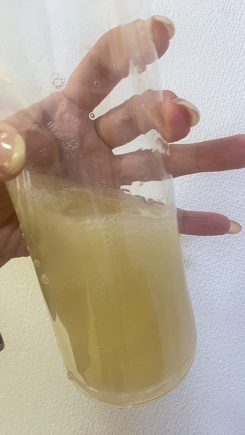 出品者名-写真