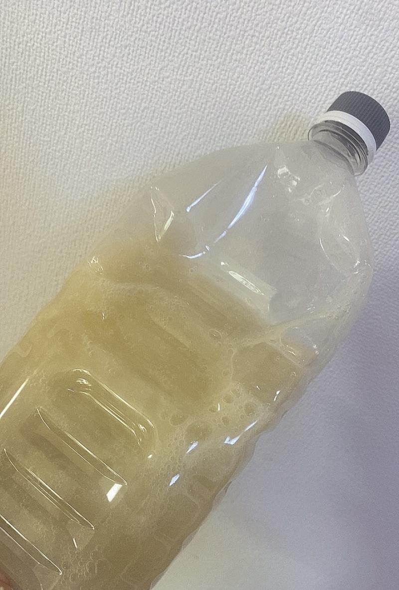 出品者名-写真-1