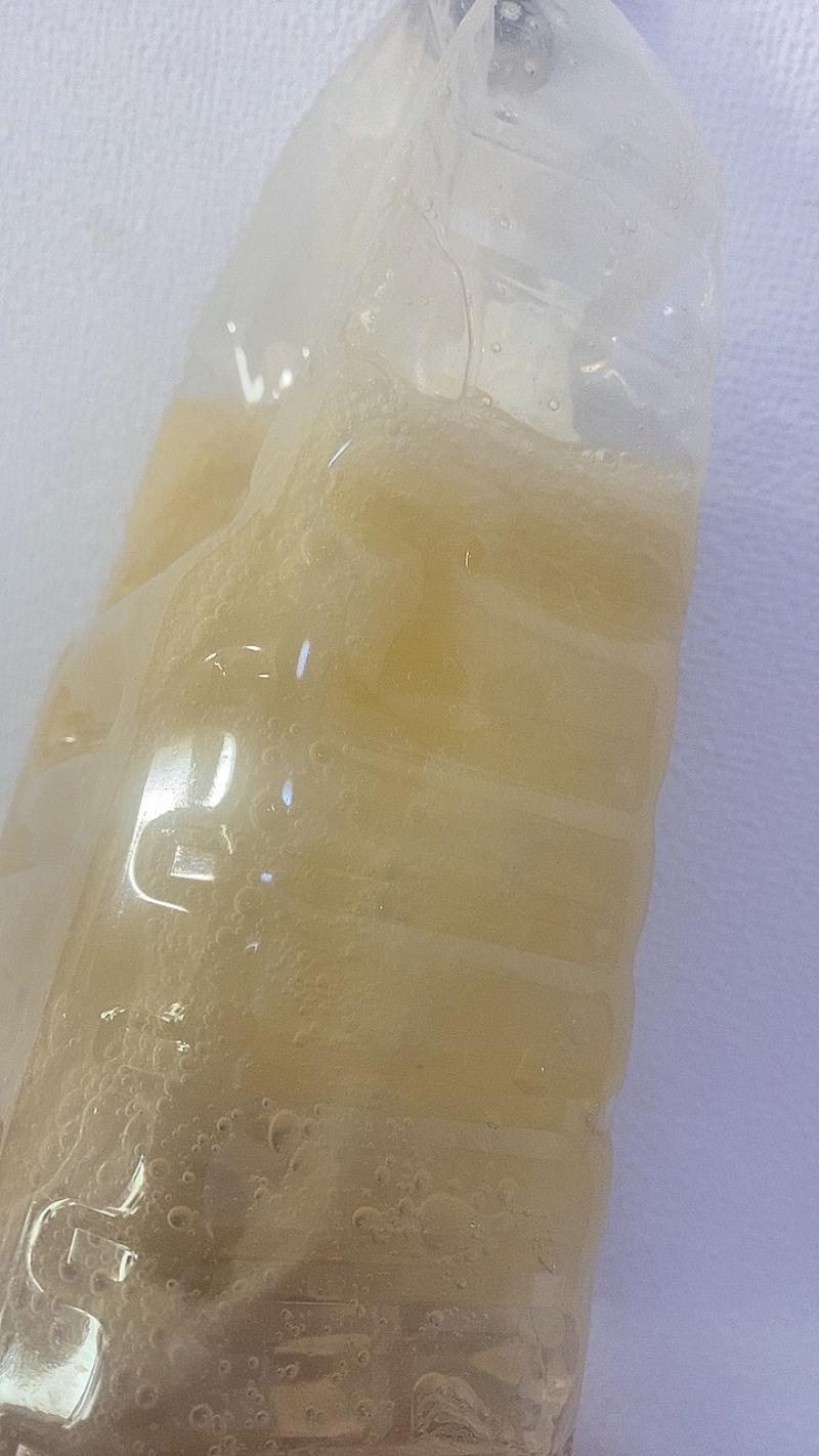 出品者名-写真-1