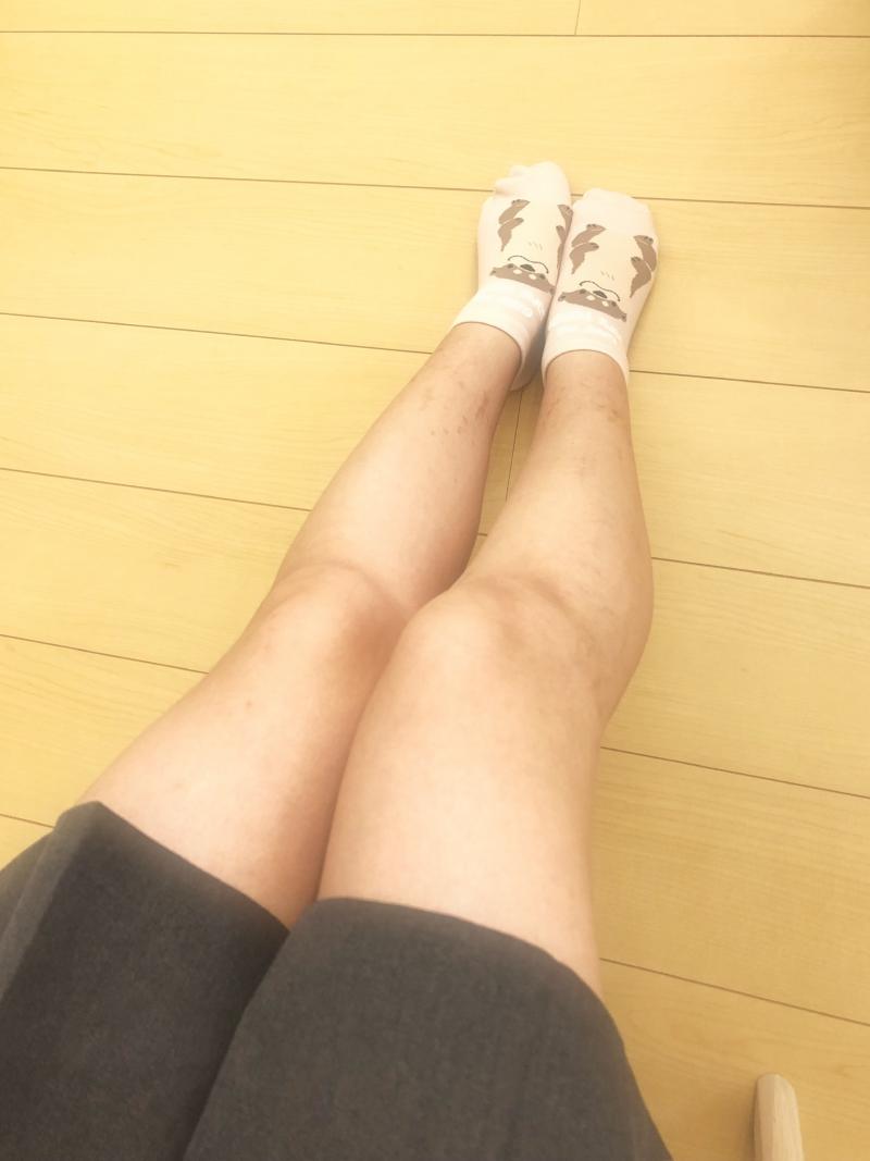 出品者名-写真