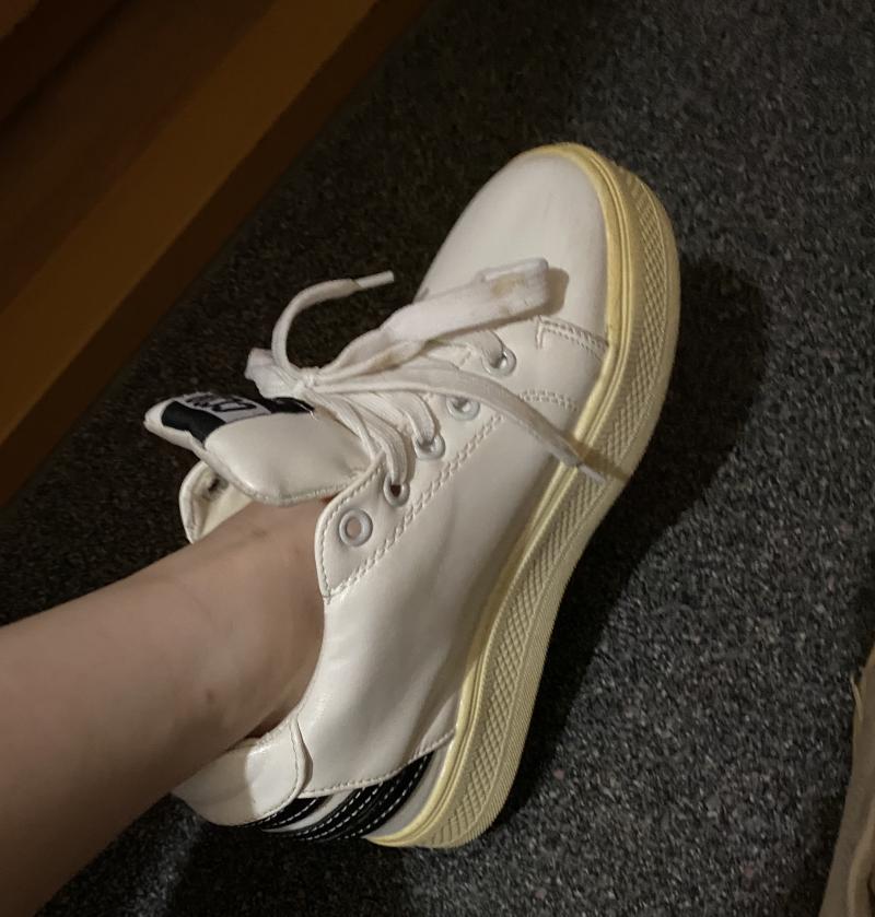 出品者名-写真-1