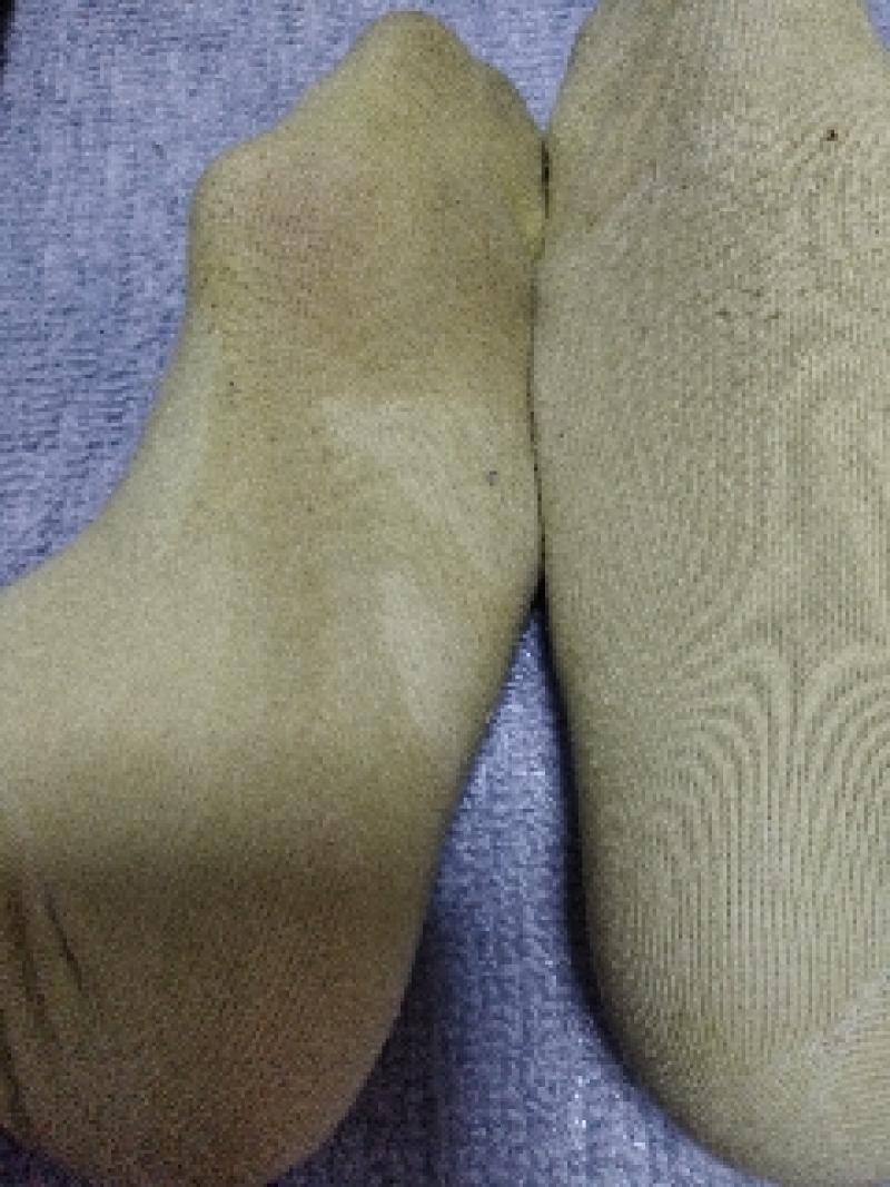 出品者名-写真