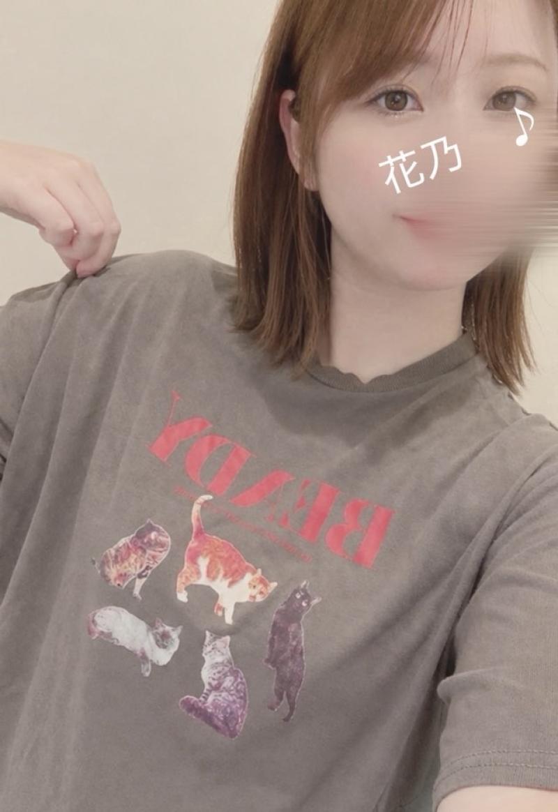 5年愛用❤︎洗っても落ちない汗臭!年季モノ猫ちゃんTシャツ❤︎