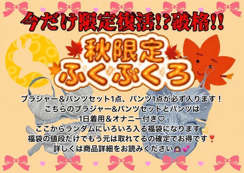 秋限定❤️ブラジャー＆パンツset福袋