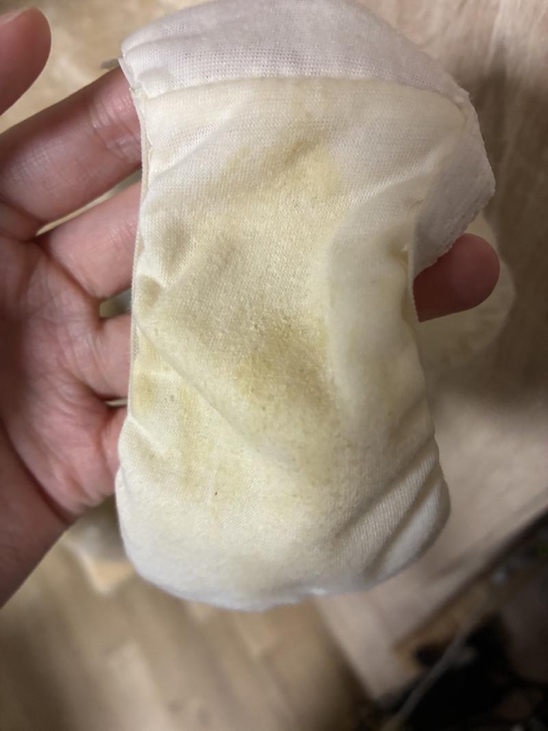 明日も着用パンティ