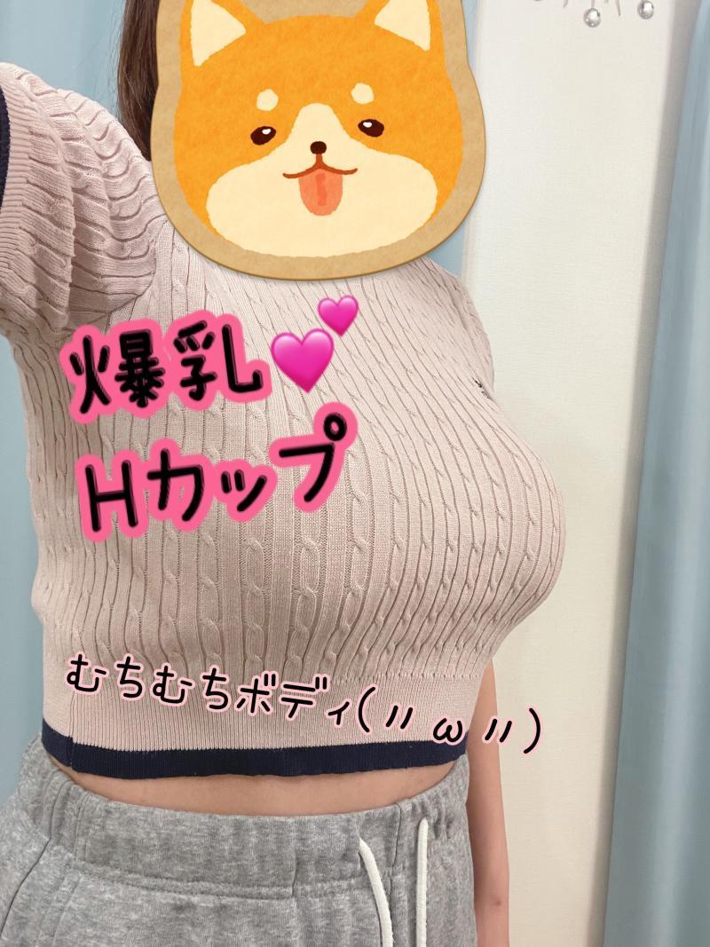 【3日着用確定】Hカップ 脇汗しみしみ 半袖ニット