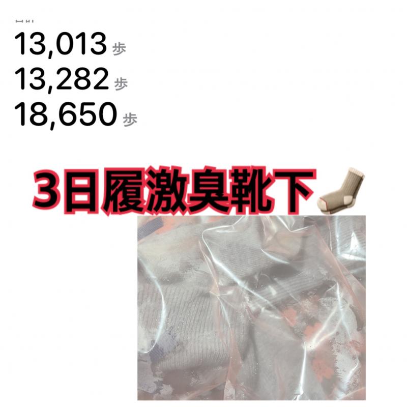 3日履激臭靴下