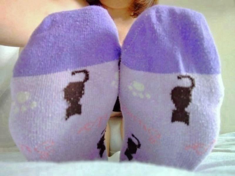 3日着用紫色のネコ柄靴下