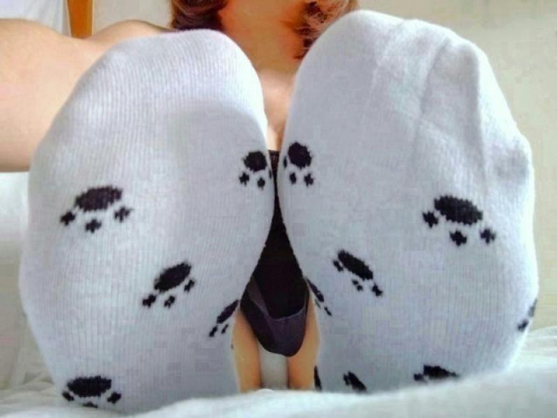 3日着用水色のネコの肉球柄靴下