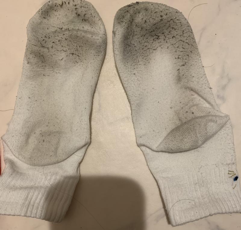 出品者名-写真-1