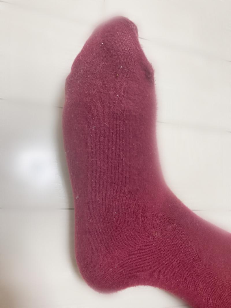 出品者名-写真-1