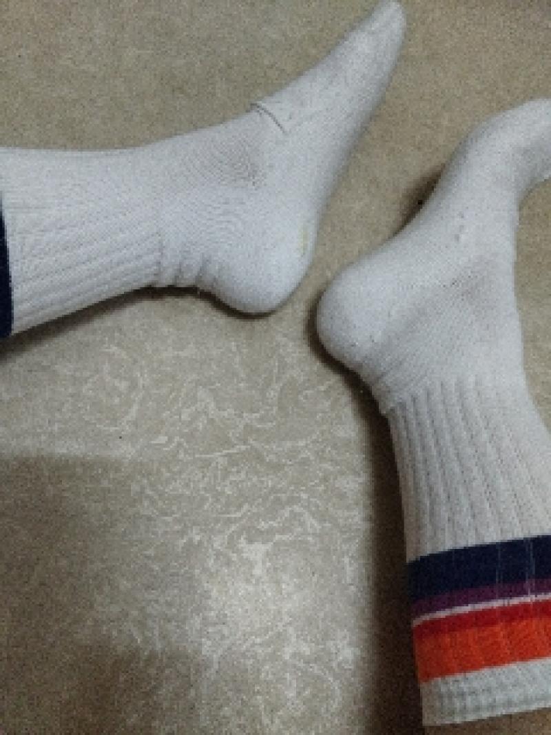 出品者名-写真-1