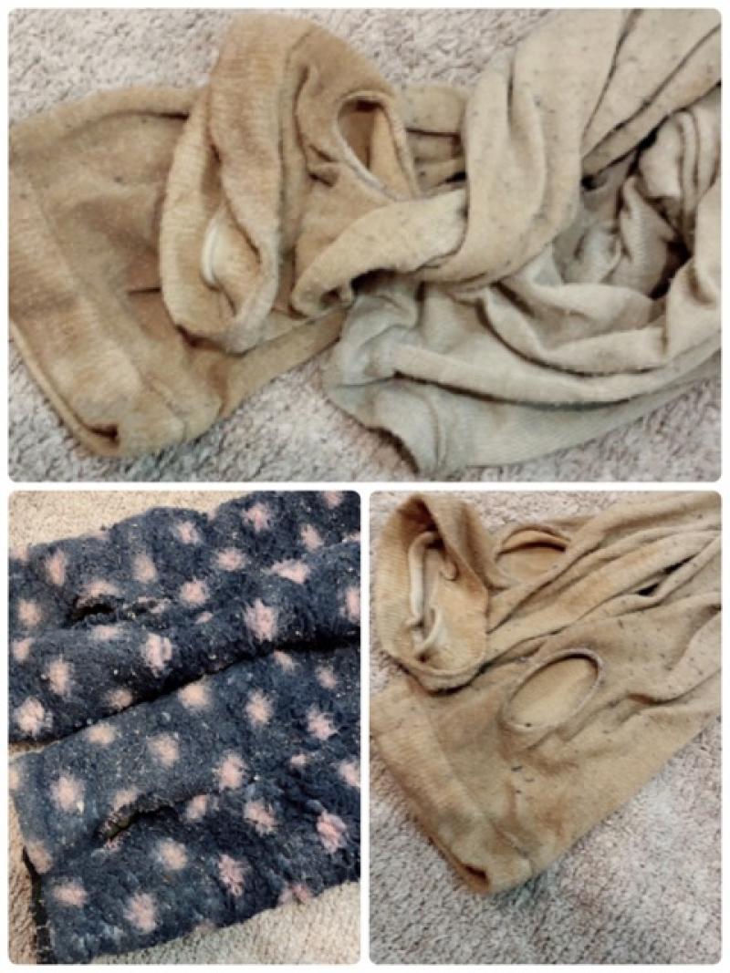 出品者名-写真-1