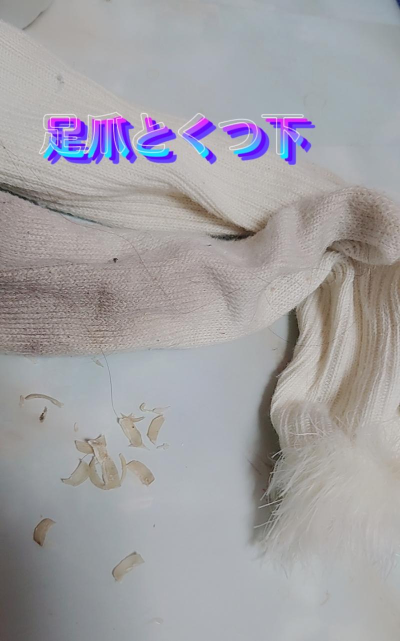 足爪とくつ下セット
