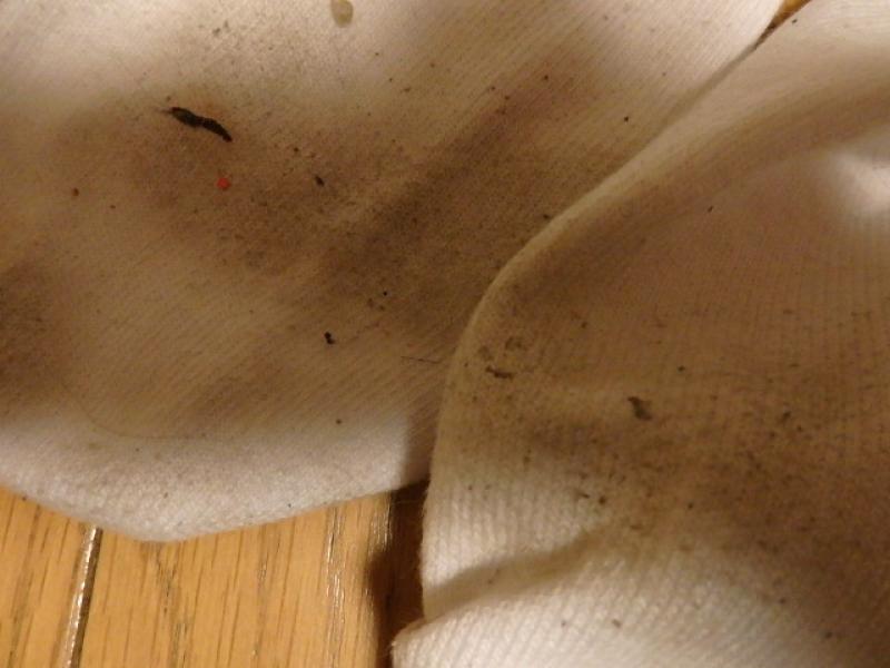 出品者名-写真-1