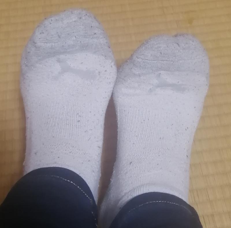 出品者名-写真