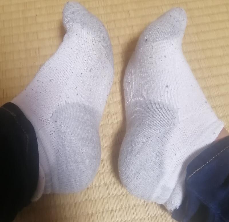 出品者名-写真-1