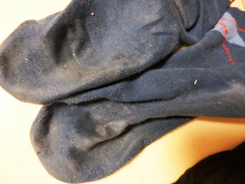 出品者名-写真-1