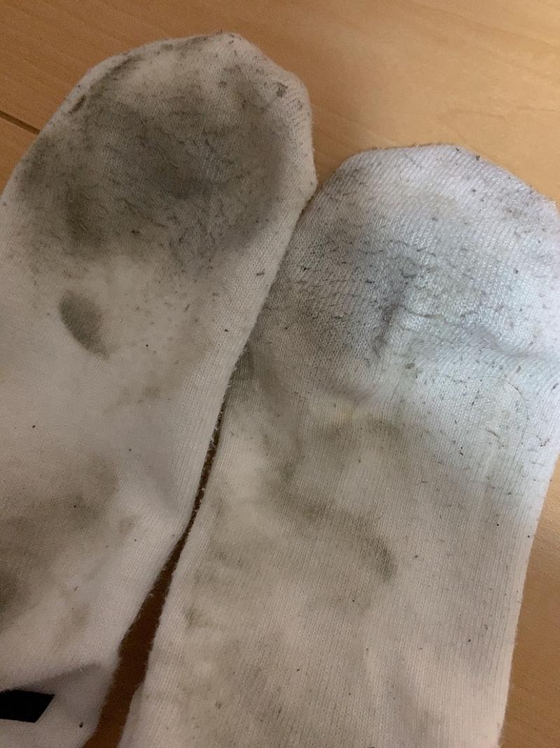 出品者名-写真-1