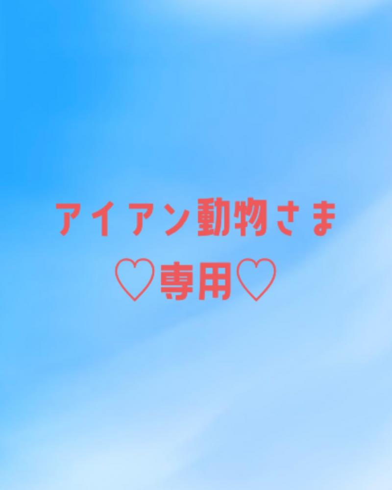 アイアン動物さま♡専用♡