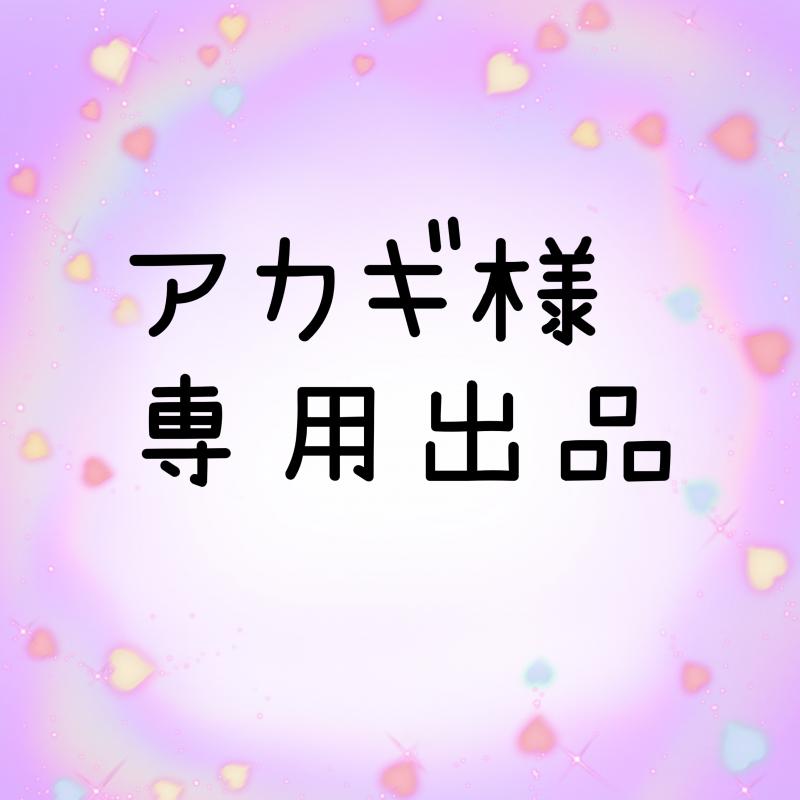 アカギ様専用出品