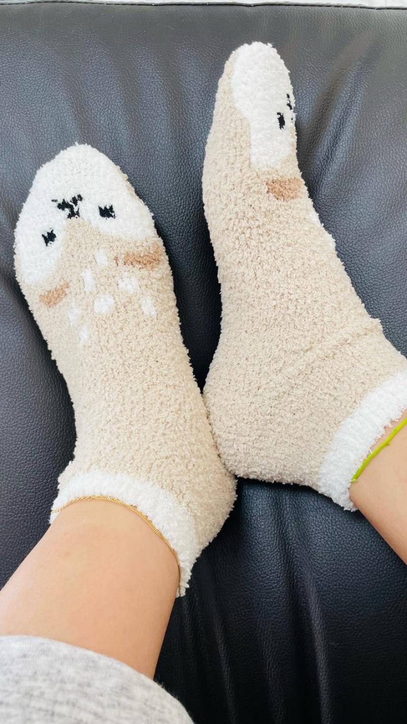 出品者名-写真-1