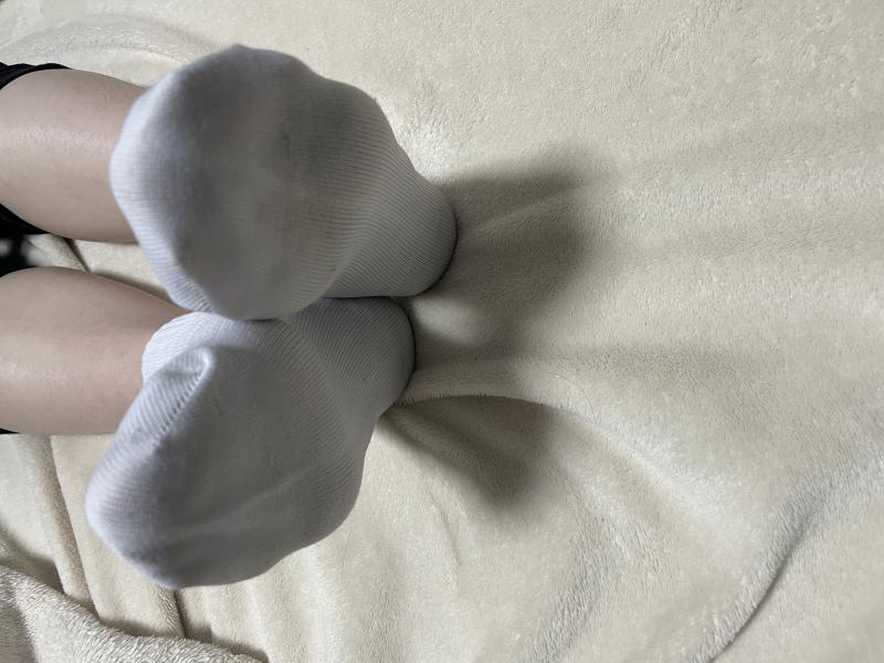 出品者名-写真