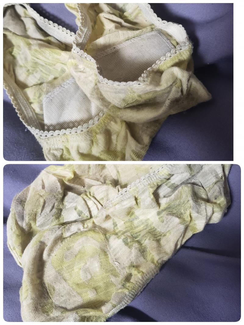 出品者名-写真-1