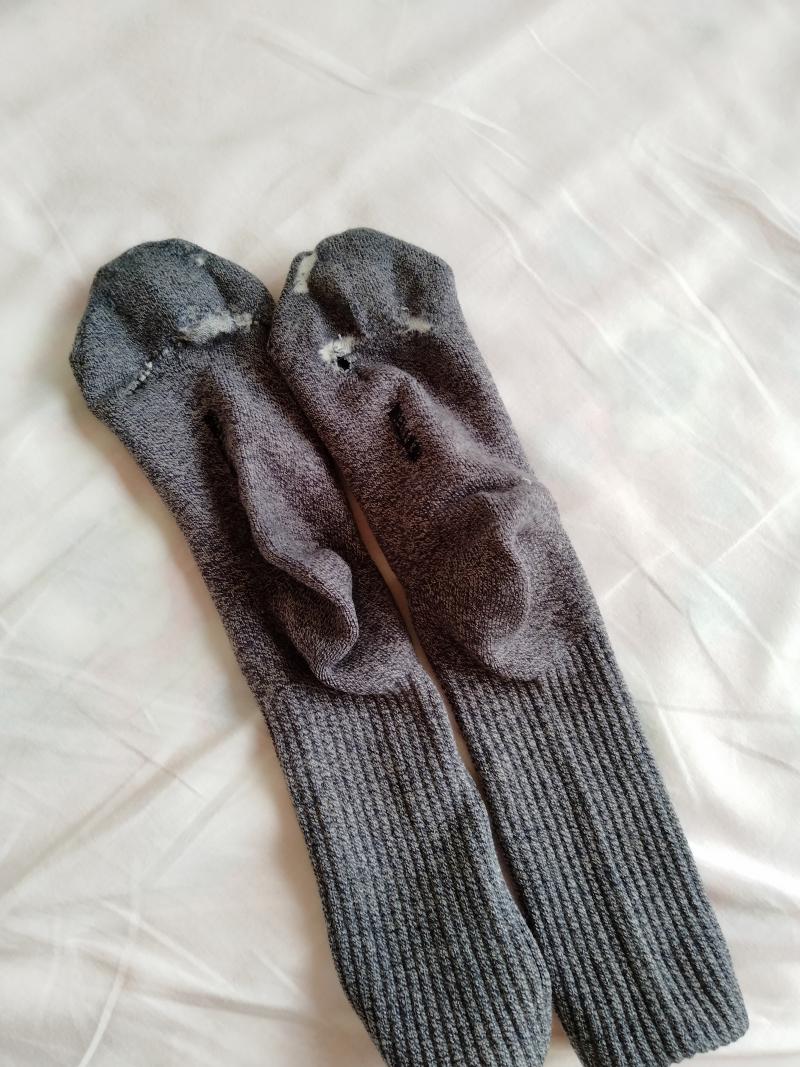 出品者名-写真-1