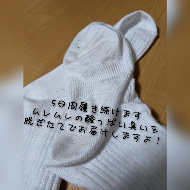 現役看護師の5日間履き続けた靴下«注文後用意»