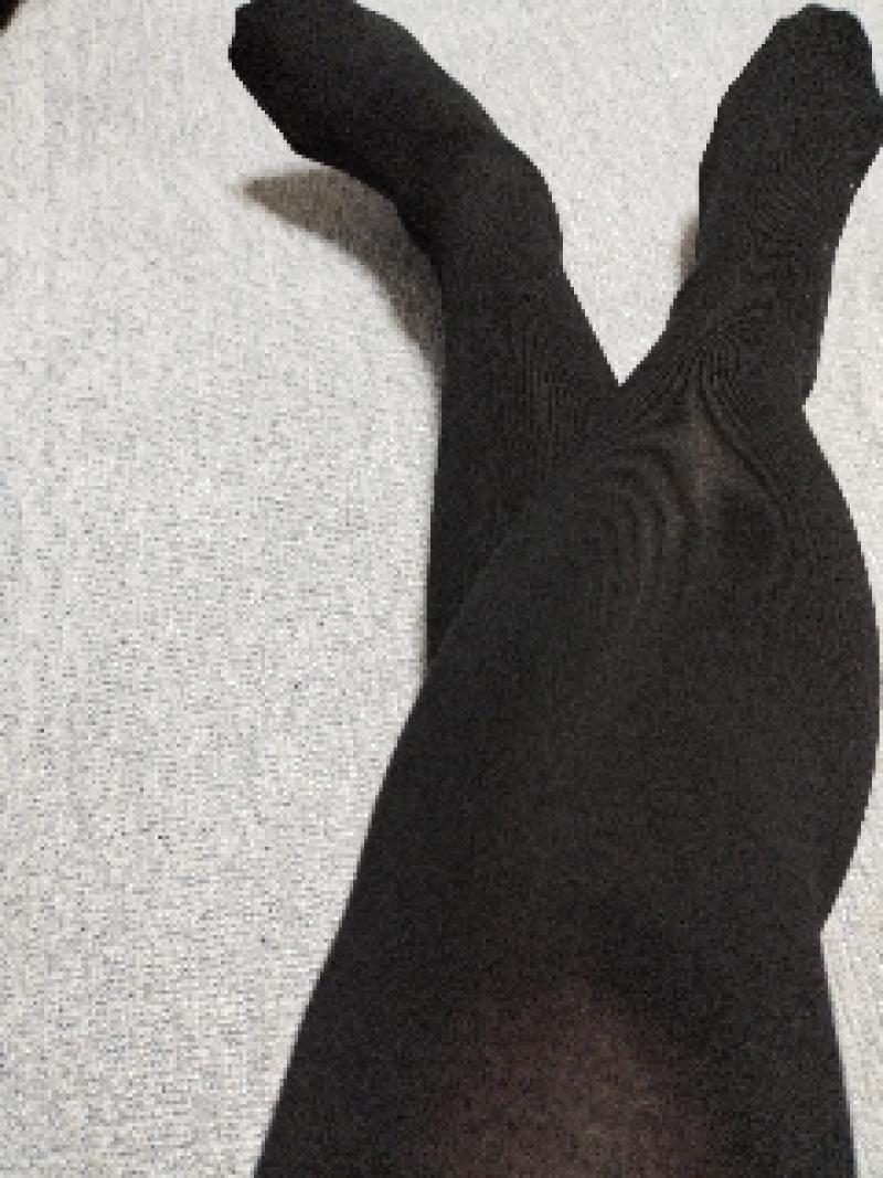 出品者名-写真-1