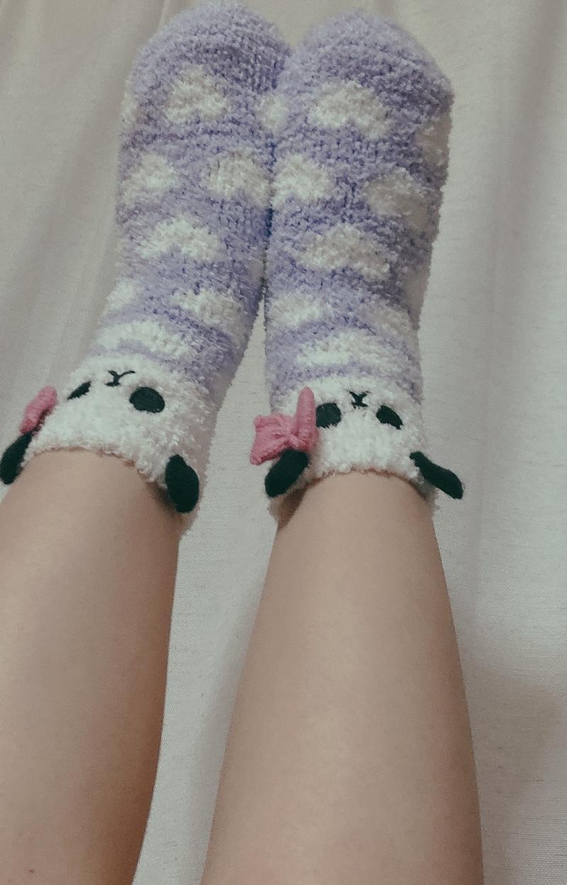 出品者名-写真
