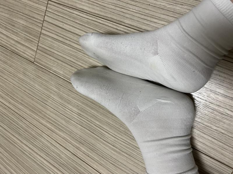 出品者名-写真-1