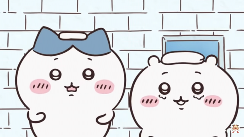 3日履きタイツ