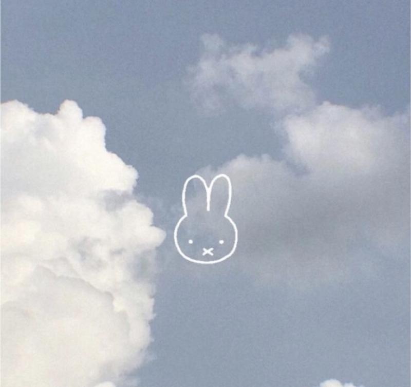 出品者名-写真-1