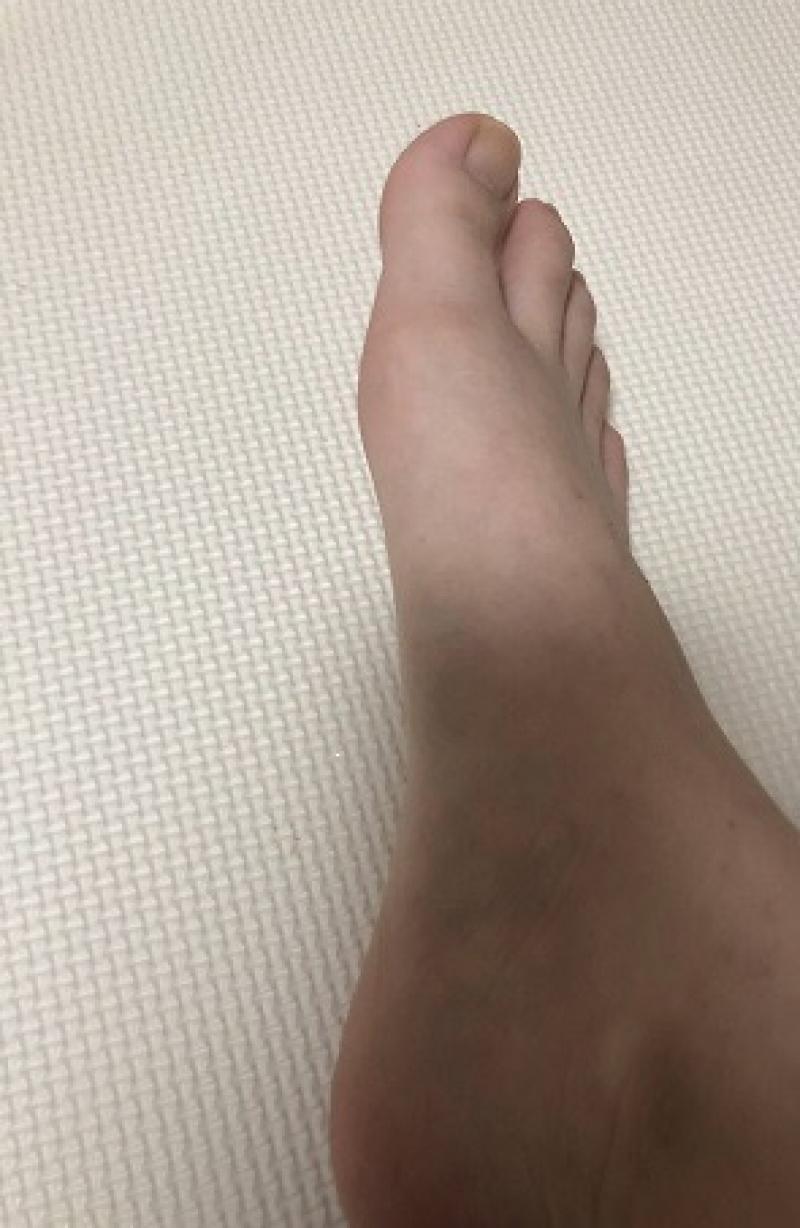 出品者名-写真