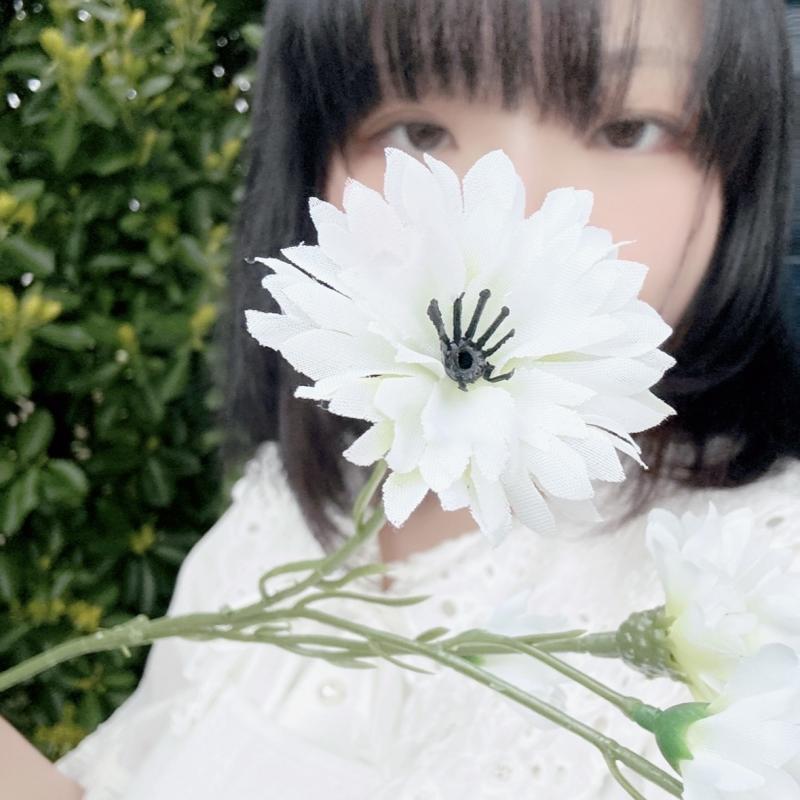 なかむらみみ