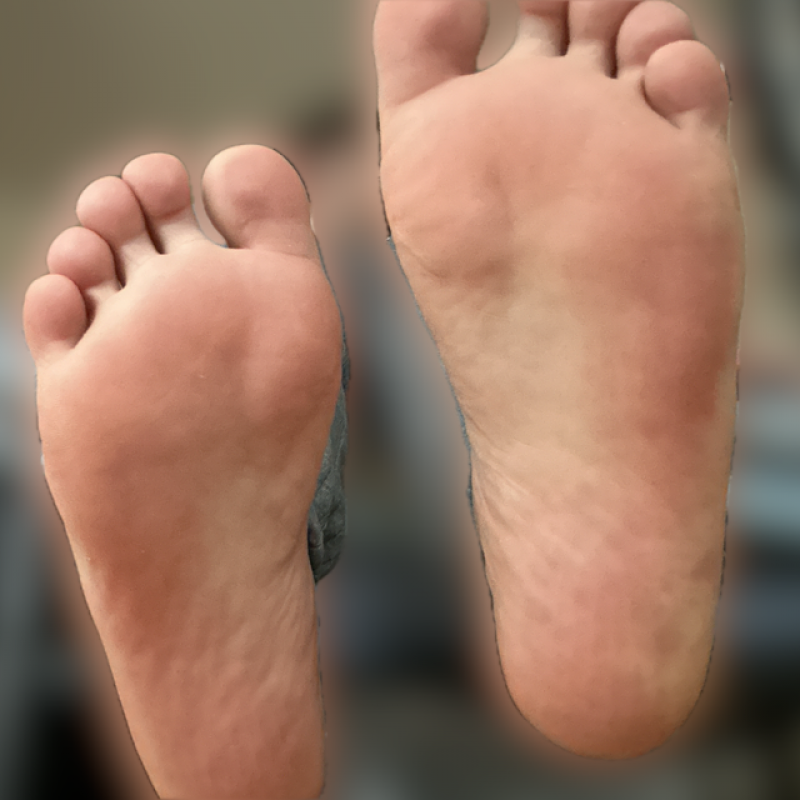 出品者名-写真-1