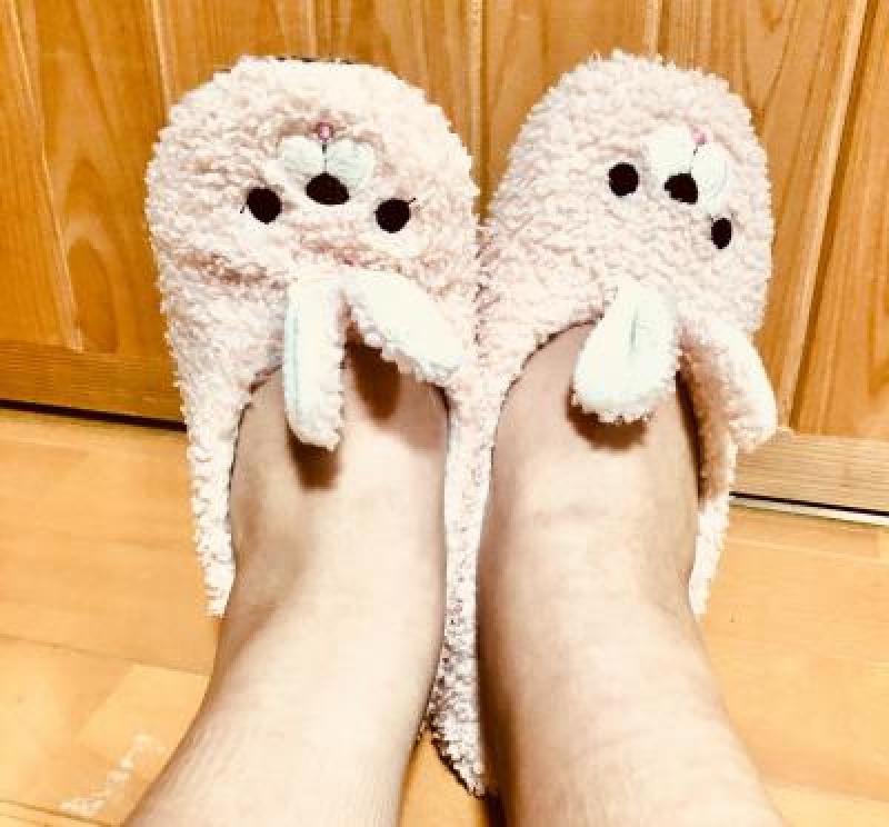 出品者名-写真-1