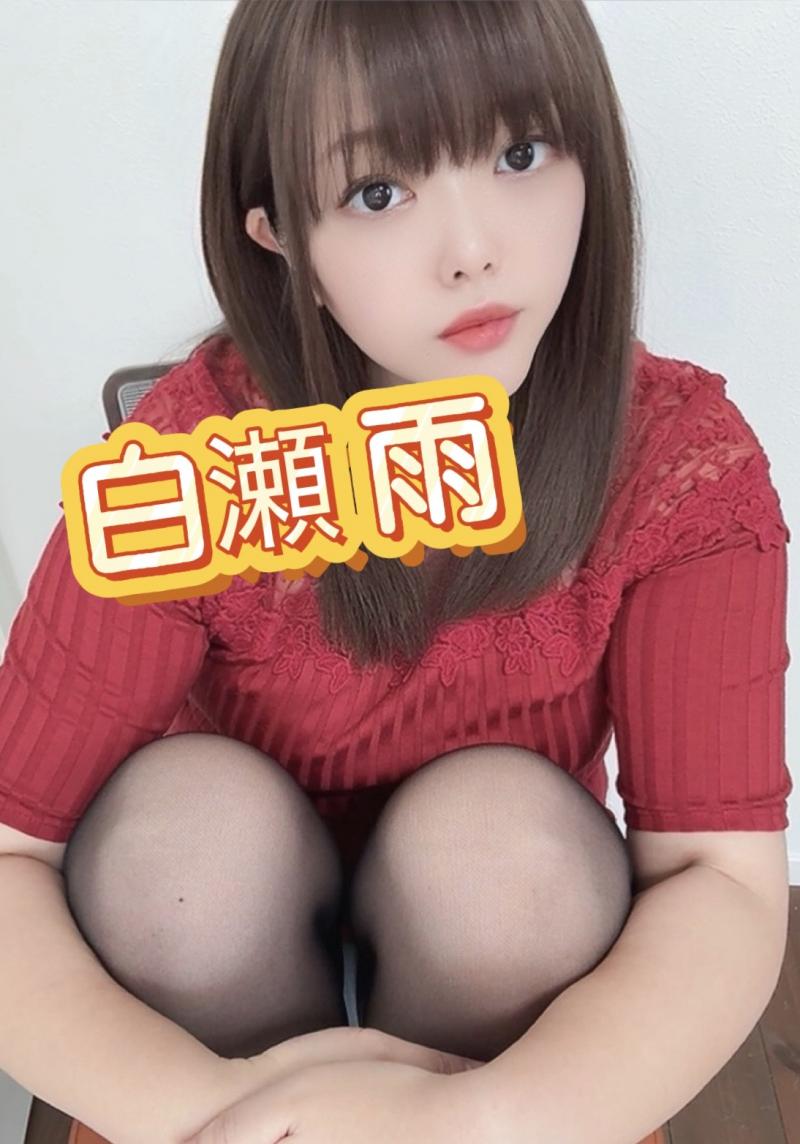出品者名-写真